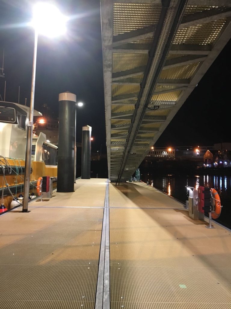 Heavy duty pontoon with lifesaving ring and overhead lighting