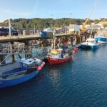 New pontoons at St Peter's Port in Guernsey