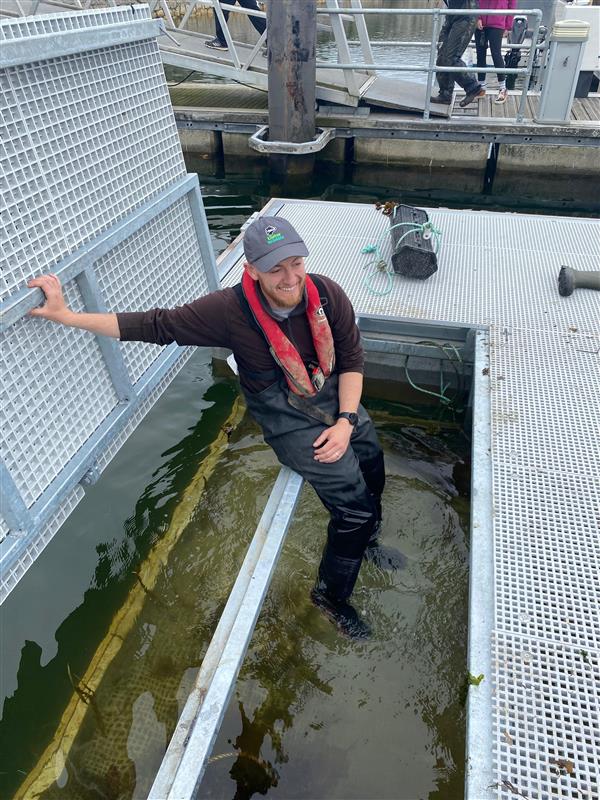 Oyster nursery at Glenarm Marina in Co.Antrim , Ireland